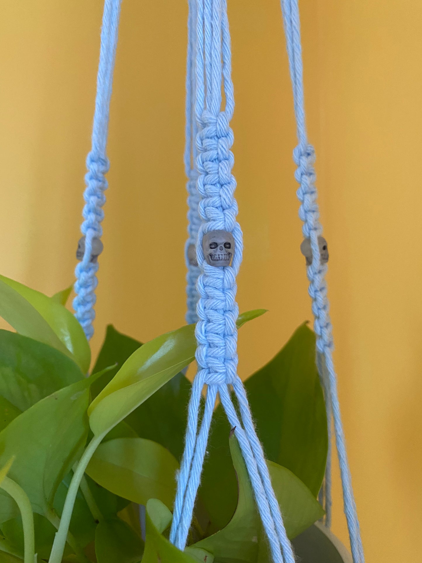 Skull Bead Macrame Plant Hanger