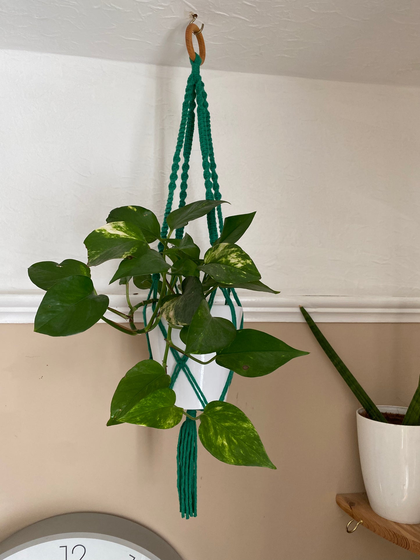 Macra-Made With Love short colourful macrame plant hanger green