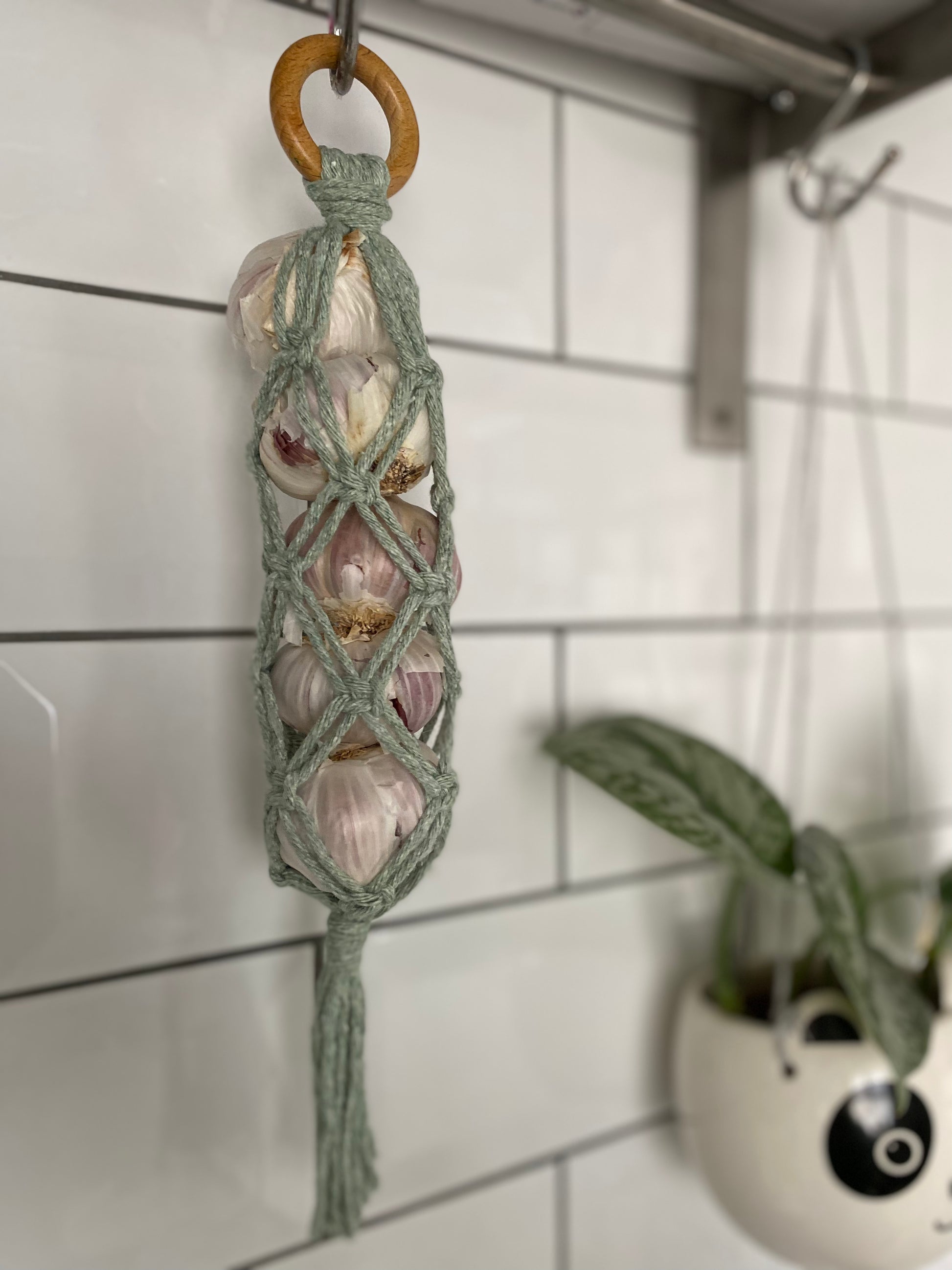 A handmade macrame garlic hanger made with green cotton yarn and a wooden ring, with 5 fresh garlic bulbs held neatly inside, hanging against a white tiled wall. 