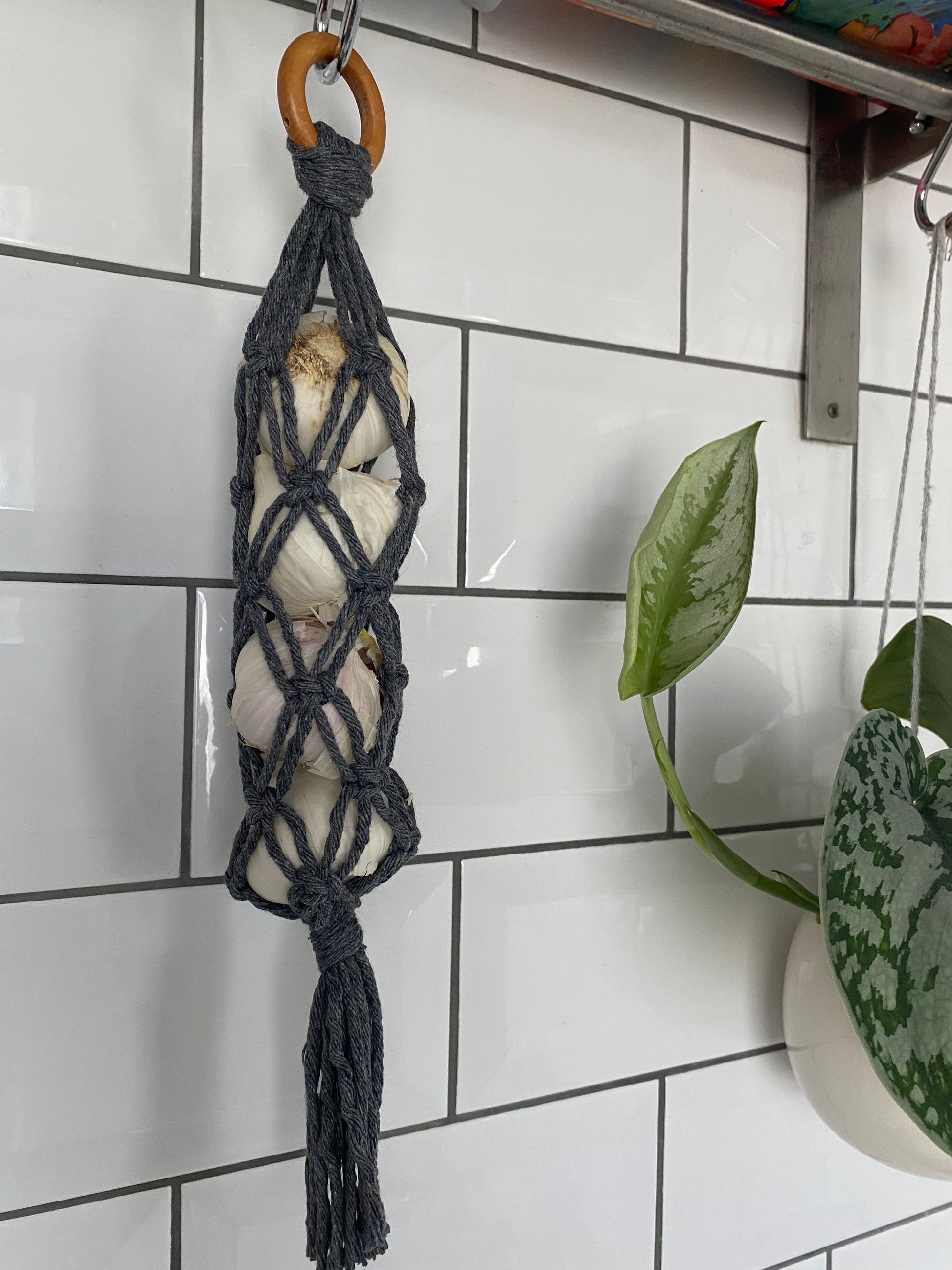 A handmade macrame garlic hanger made with dark grey cotton yarn and a wooden ring, holding 4 fresh garlic bulbs, hanging against a white tiled wall. 