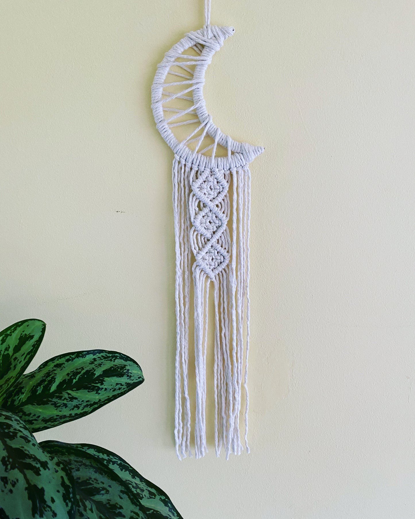A macrame wall hanging in the shape of a crescent moon, wrapped in natural yarn hanging on a pale yellow wall next to a tall green houseplant. 