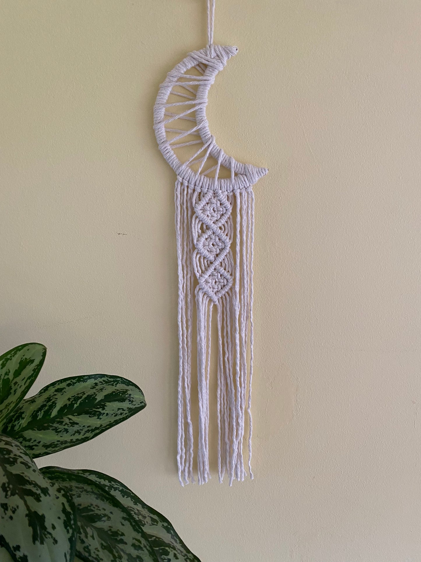 A macrame wall hanging in the shape of a crescent moon, wrapped in natural yarn, with long knotted fringe detail hanging on a beige wall next to a tall green houseplant. 