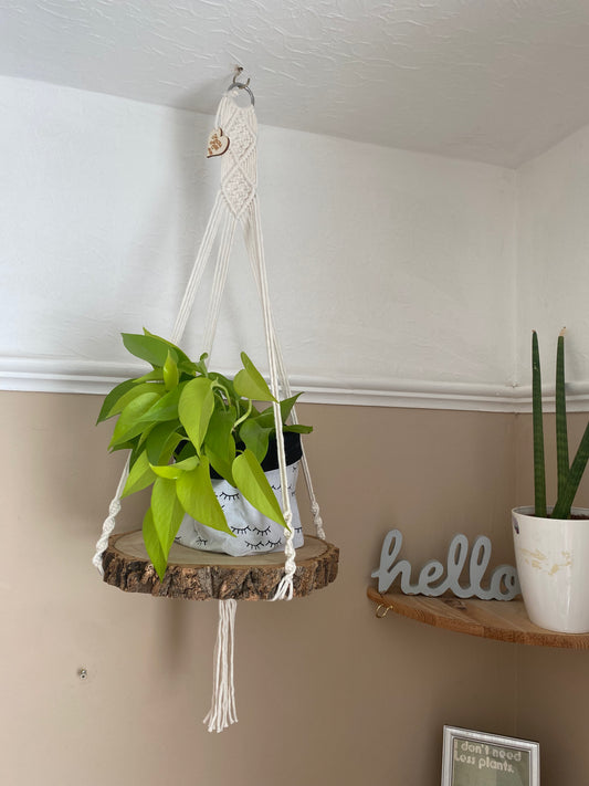 A bright green plant sits on a hanging wood slice shelf, suspended from the ceiling by natural macrame yarns, knotted on to a metal ring. 