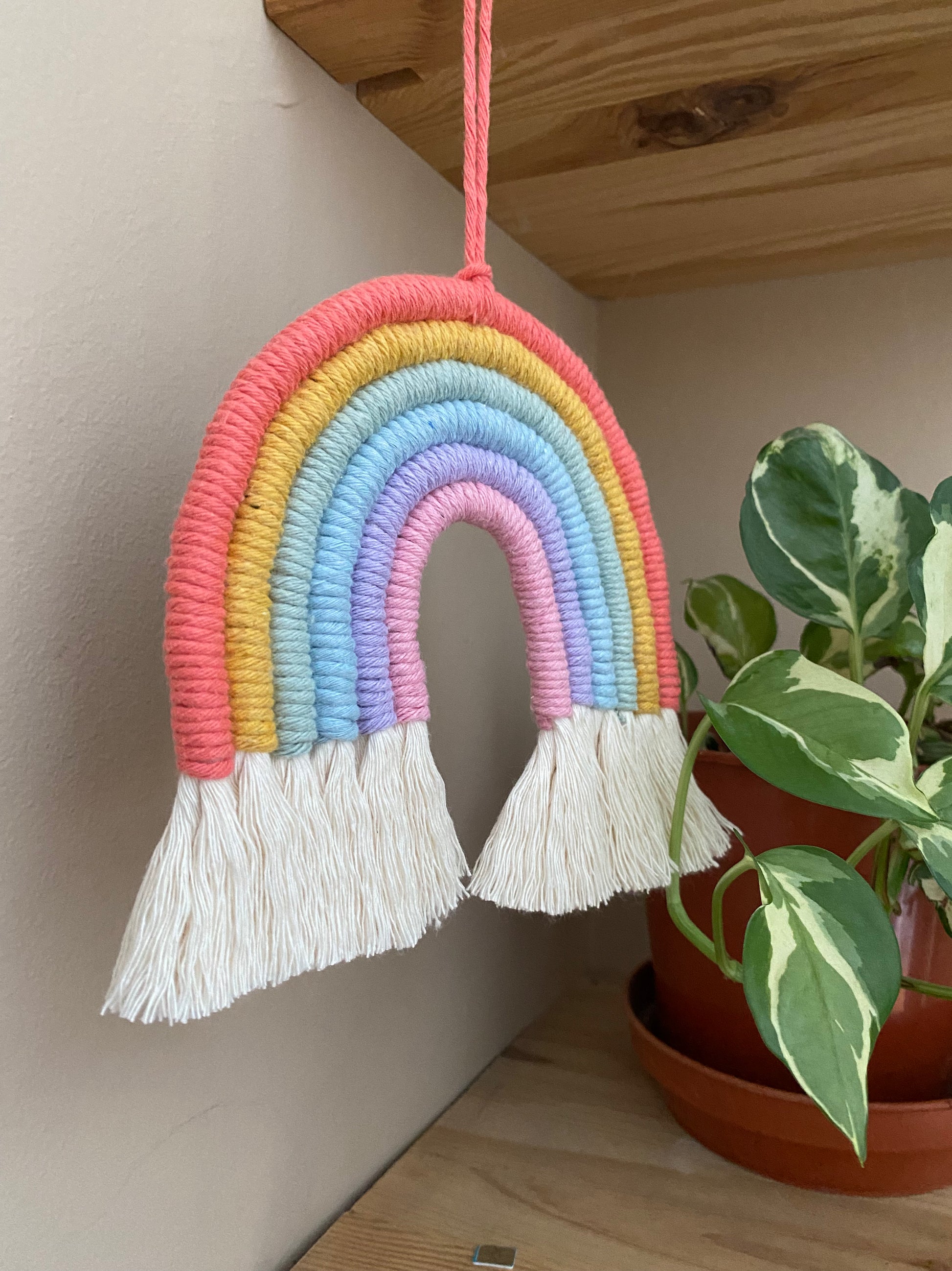 Pastel macrame rainbow, with brushed out tassels, hanging next to a variegated houseplant on a shelf 