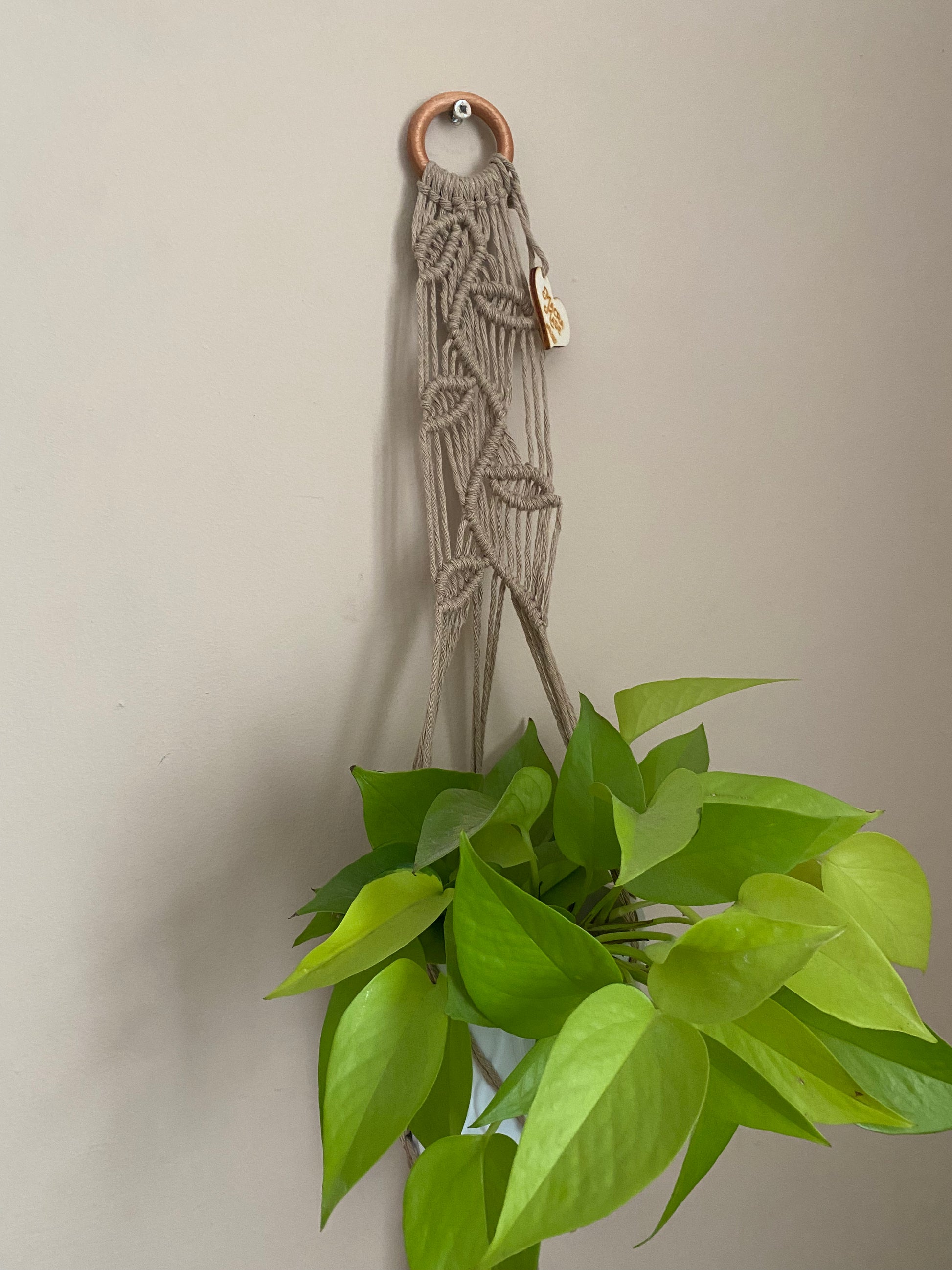 Close up of a bright green leafy plant, hanging against a beige wall in a neutral coloured macrame plant hanger with falling leaf knotted pattern and a wooden ring. 