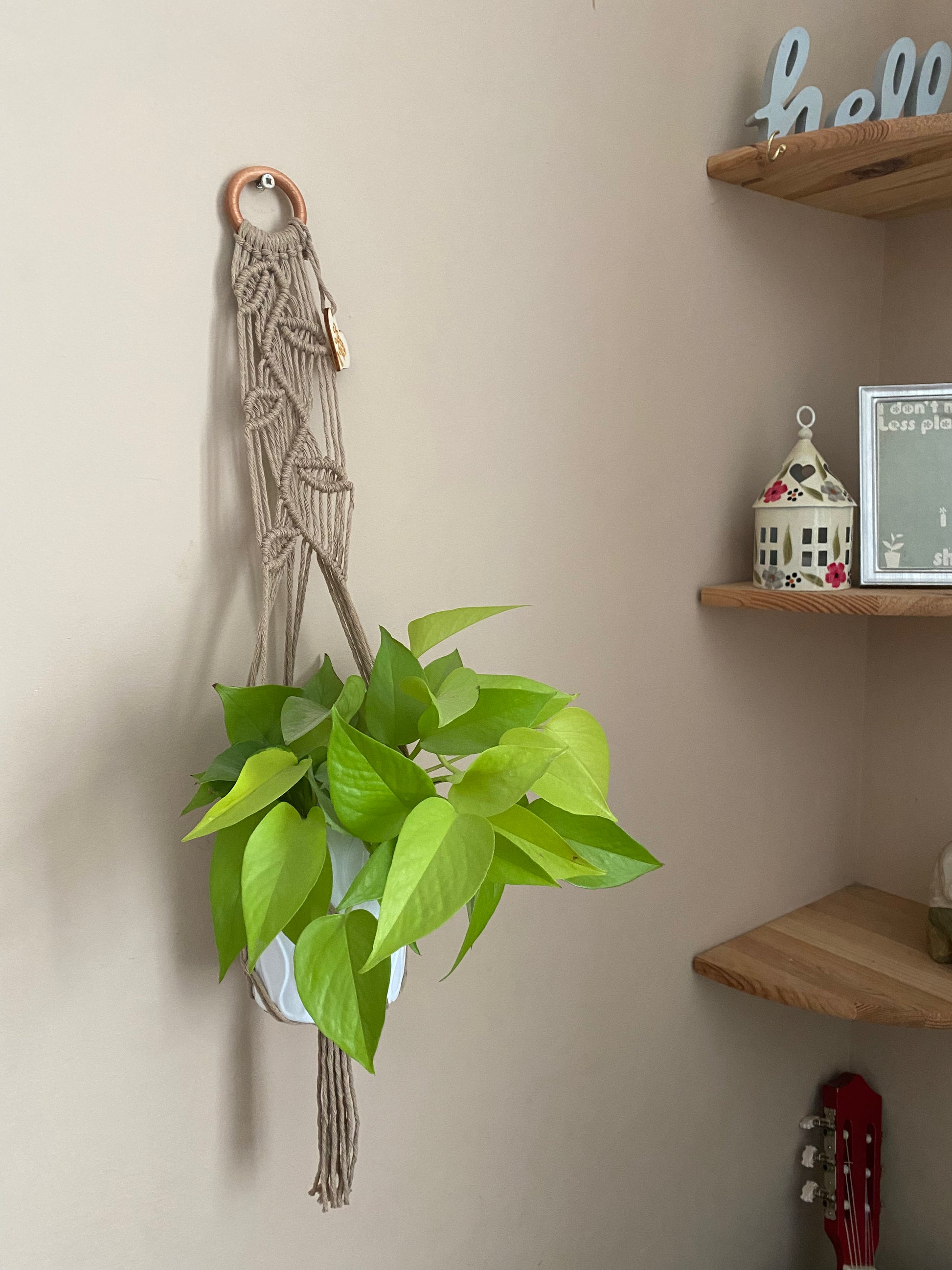 A bright green leafy plant, hanging against a beige wall in a neutral coloured macrame plant hanger with falling leaf knotted pattern and a wooden ring. There is a set of corner shelves to the right and the top of a guitar can just be seen below. 