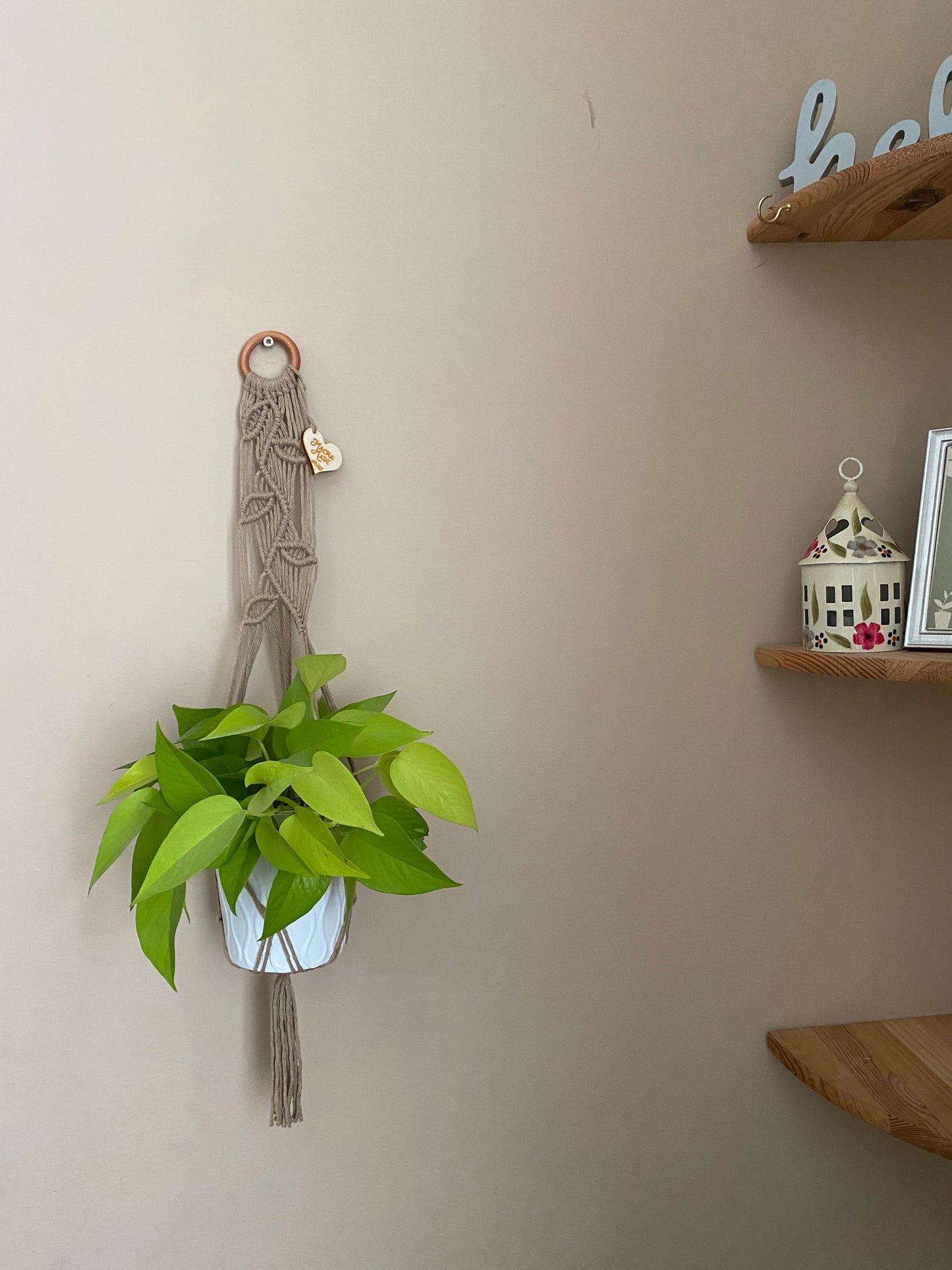 A bright green leafy plant, hanging against a beige wall in a neutral coloured macrame plant hanger with falling leaf knotted pattern and a wooden ring next to a set of wooden corner shelves. 
