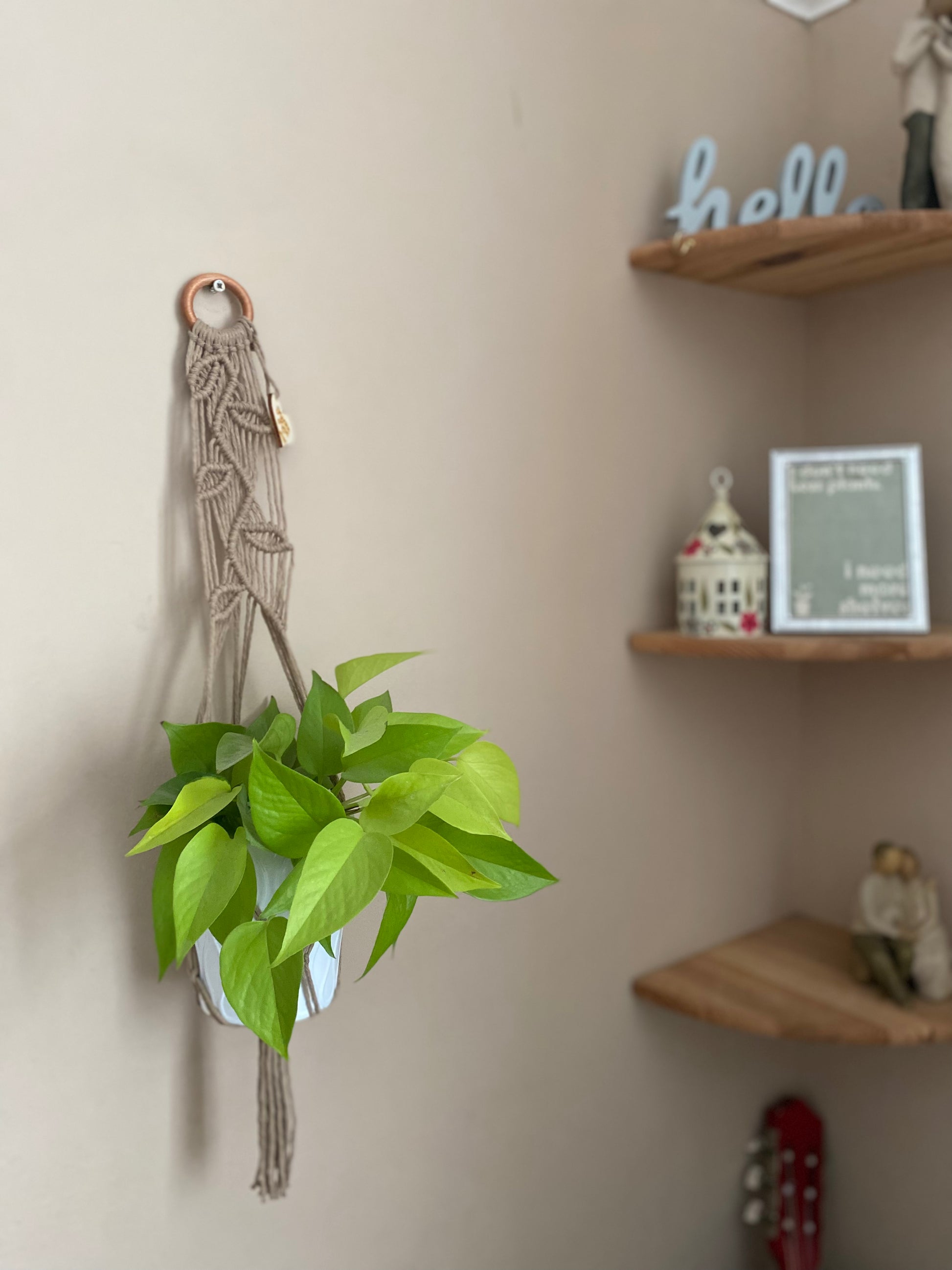 A bright green leafy plant, hanging against a beige wall in a neutral coloured macrame plant hanger with falling leaf knotted pattern and a wooden ring next to a set of wooden corner shelves which are just out of focus. 