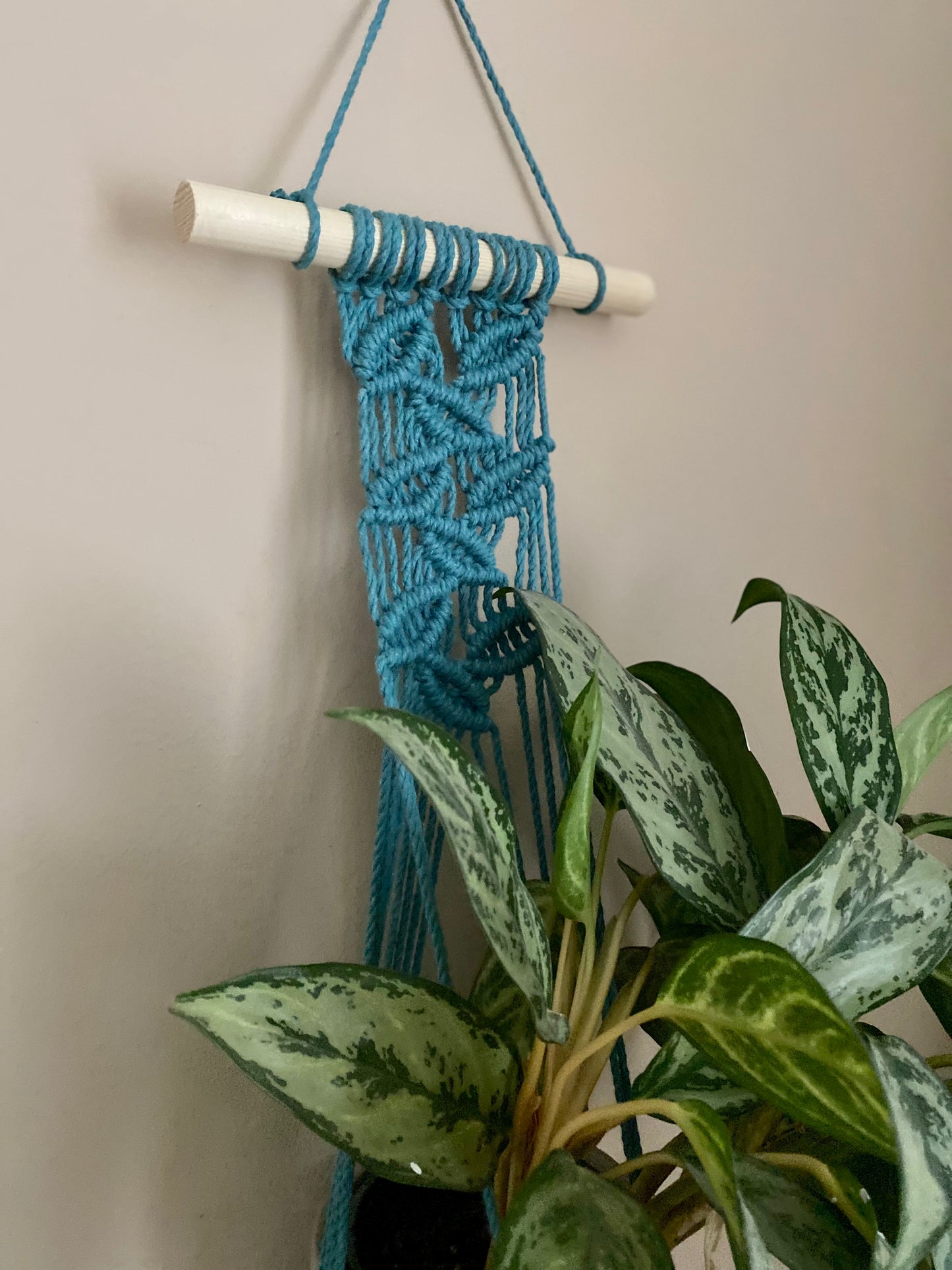 A large green plant sits inside a wall hanging plant hanger, made with teal blue recycled cotton and a solid wooden dowel, against a beige painted wall. 