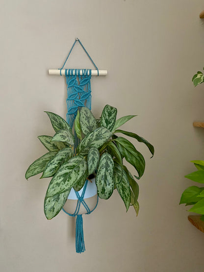 A large green plant in a ceramic plant pot, sits in a macrame wall hanging plant hanger, made with teal blue recycled cotton on a wooden dowel, against a beige wall. 