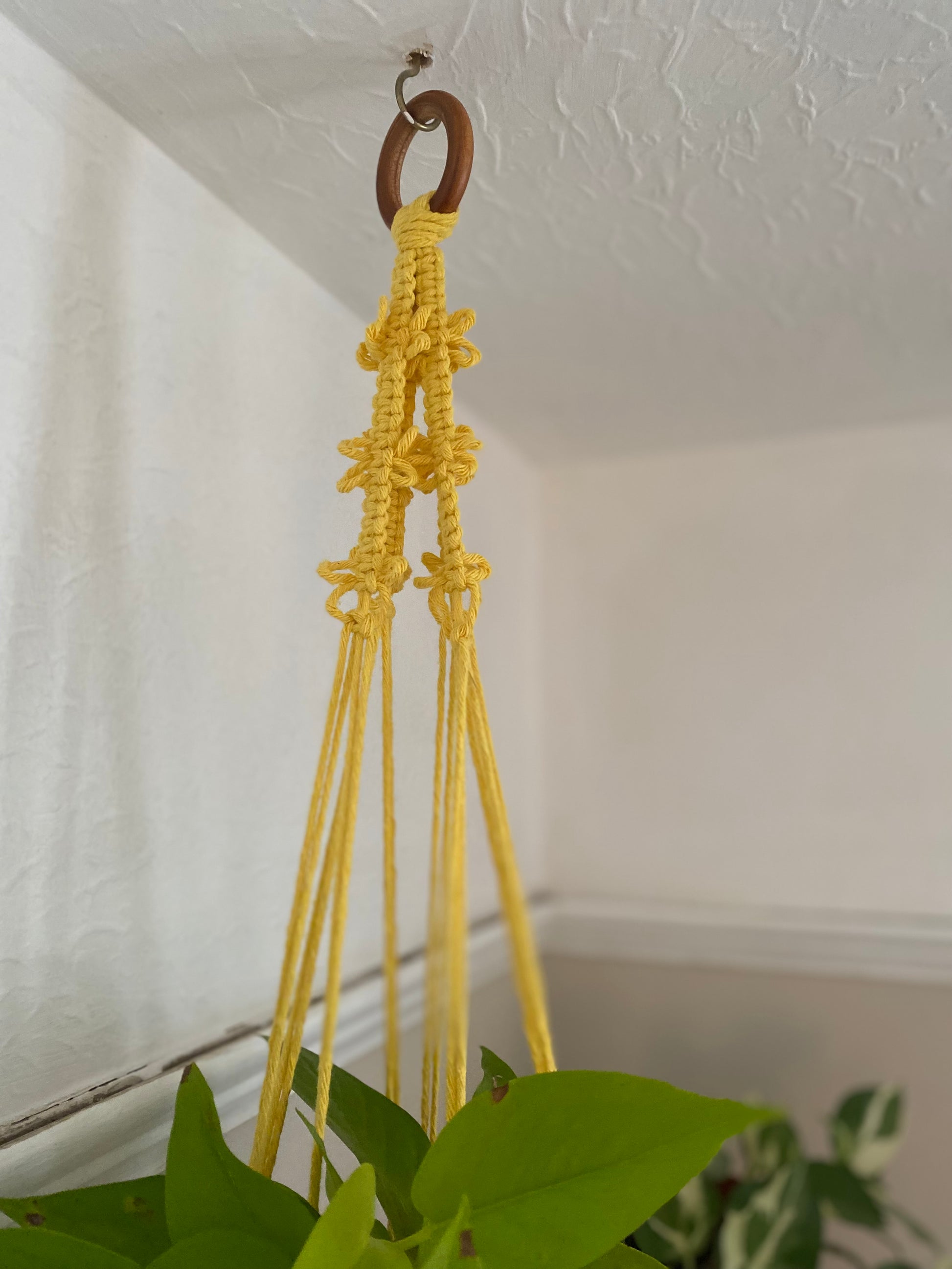 yellow macrame plant hanger Yellow Butterfly Macramé Plant Hanger