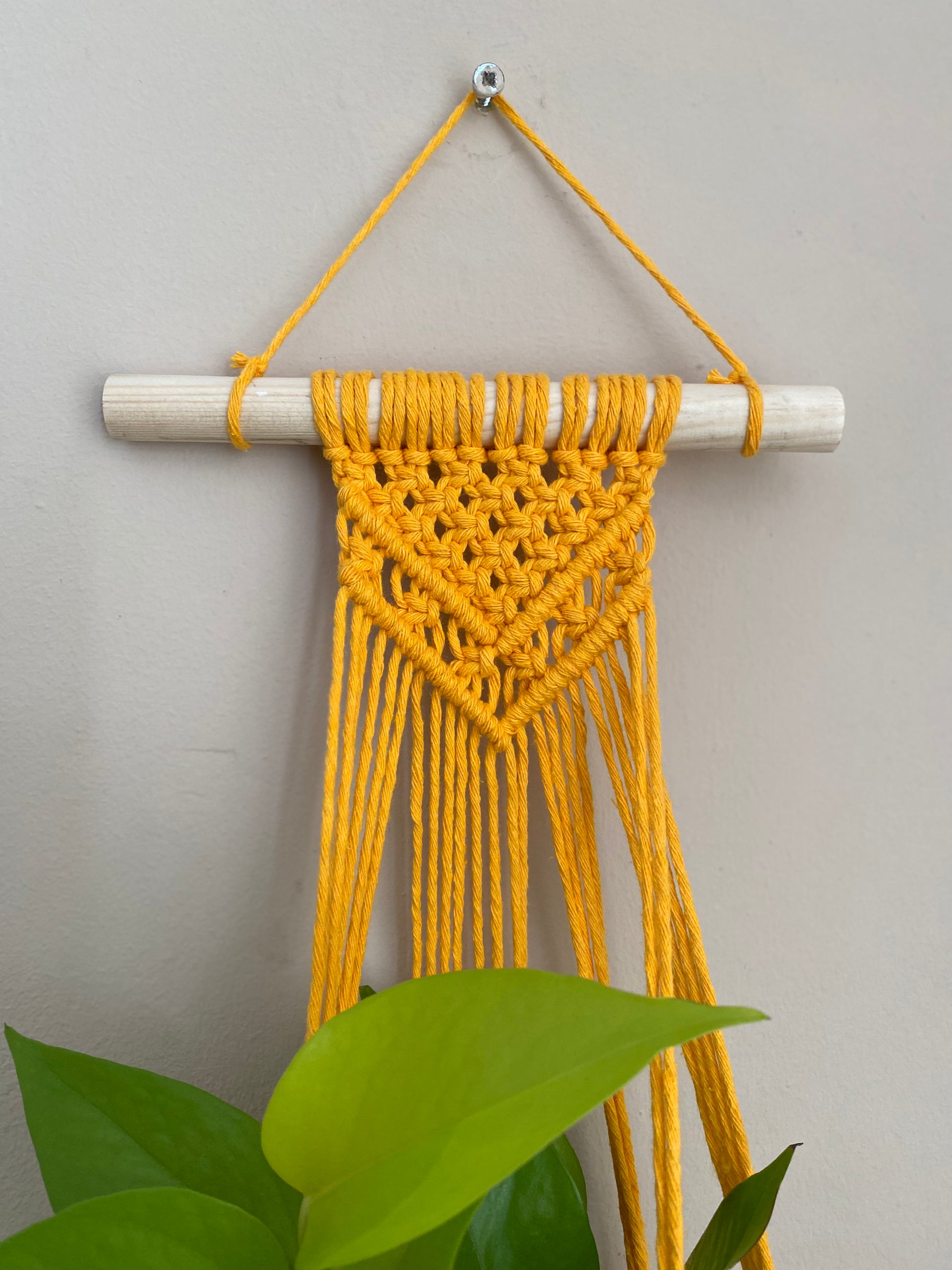 yellow macrame plant hanger Yellow Macramé Wall Plant Hanger