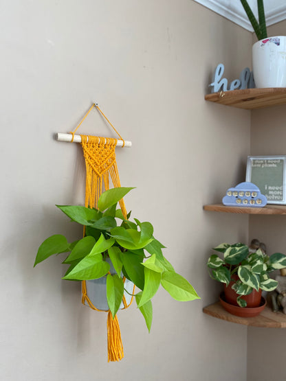 plant hanger for corner wall Yellow Macramé Wall Plant Hanger